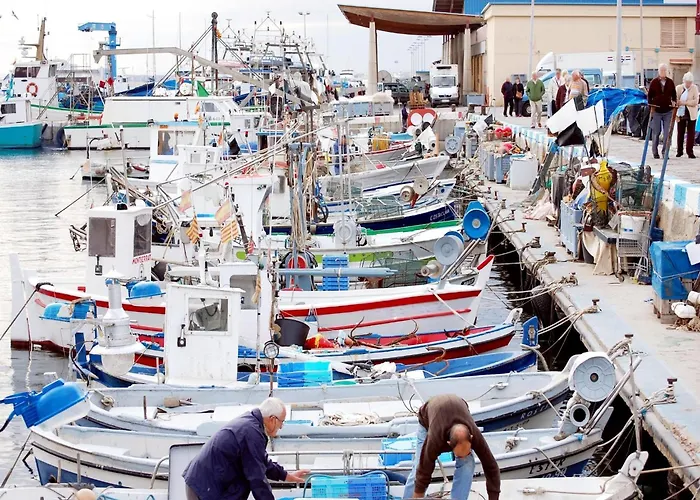 Appartamento Comfortable And Spacious In *